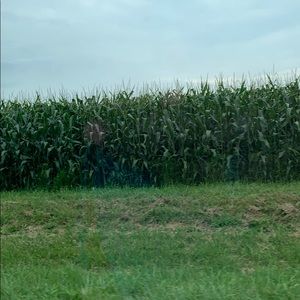 Meet your Posher, Alessandra